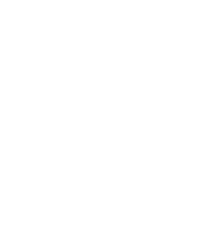 Furnace